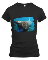 Women's Premium Slim Fit Tee