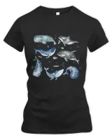 Women's Premium Slim Fit Tee