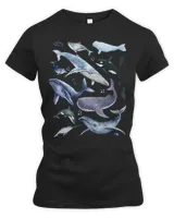 Women's Premium Slim Fit Tee