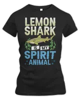 Women's Premium Slim Fit Tee Women's Premium Slim Fit Tee