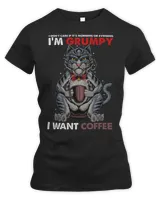 Women's Premium Slim Fit Tee Women's Premium Slim Fit Tee