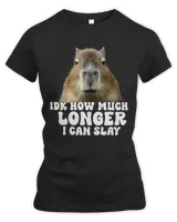 Women's Premium Slim Fit Tee