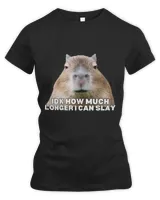 Women's Premium Slim Fit Tee