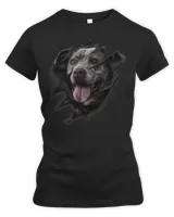 Women's Premium Slim Fit Tee