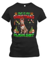 Women&#39;s Premium Slim Fit Tee