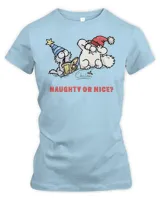 Women's Premium Slim Fit Tee
