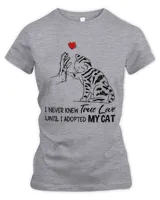 Women's Premium Slim Fit Tee