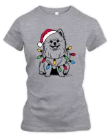 Women's Premium Slim Fit Tee Women's Premium Slim Fit Tee