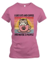 Women's Premium Slim Fit Tee Women's Premium Slim Fit Tee