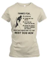 Women's Premium Slim Fit Tee Women's Premium Slim Fit Tee