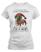 Women's Premium Slim Fit Tee