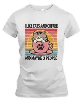 Women's Premium Slim Fit Tee Women's Premium Slim Fit Tee