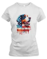 Women's Premium Slim Fit Tee Women's Premium Slim Fit Tee