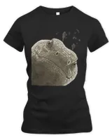 Women's Premium Slim Fit Tee Women's Premium Slim Fit Tee
