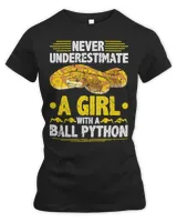 Women's Premium Slim Fit Tee Women's Premium Slim Fit Tee