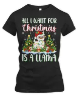 Women&#39;s Premium Slim Fit Tee