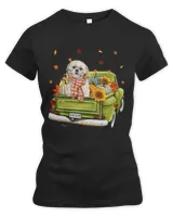 Women's Premium Slim Fit Tee Women's Premium Slim Fit Tee