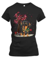 Women's Premium Slim Fit Tee Women's Premium Slim Fit Tee