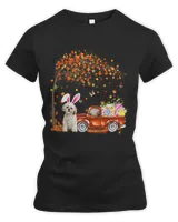 Women's Premium Slim Fit Tee Women's Premium Slim Fit Tee