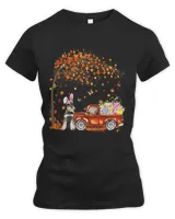 Women's Premium Slim Fit Tee Women's Premium Slim Fit Tee