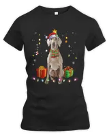 Women's Premium Slim Fit Tee Women's Premium Slim Fit Tee