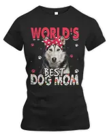 Women's Premium Slim Fit Tee Women's Premium Slim Fit Tee