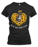 Women's Premium Slim Fit Tee Women's Premium Slim Fit Tee