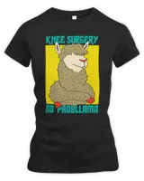 Women's Premium Slim Fit Tee Women's Premium Slim Fit Tee