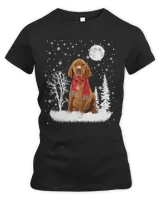 Women's Premium Slim Fit Tee Women's Premium Slim Fit Tee