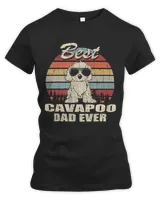 Women's Premium Slim Fit Tee Women's Premium Slim Fit Tee