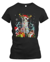 Women's Premium Slim Fit Tee Women's Premium Slim Fit Tee