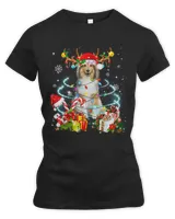 Women's Premium Slim Fit Tee Women's Premium Slim Fit Tee
