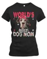 Women's Premium Slim Fit Tee Women's Premium Slim Fit Tee