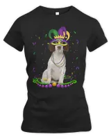 Women's Premium Slim Fit Tee Women's Premium Slim Fit Tee