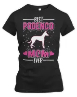 Women's Premium Slim Fit Tee Women's Premium Slim Fit Tee