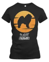 Women's Premium Slim Fit Tee Women's Premium Slim Fit Tee