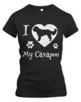 Women's Premium Slim Fit Tee Women's Premium Slim Fit Tee