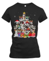 Women's Premium Slim Fit Tee Women's Premium Slim Fit Tee