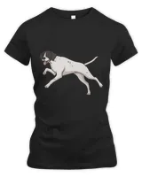 Women's Premium Slim Fit Tee Women's Premium Slim Fit Tee