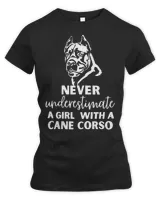 Women's Premium Slim Fit Tee Women's Premium Slim Fit Tee
