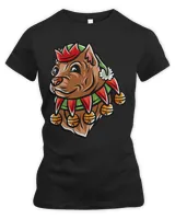 Women's Premium Slim Fit Tee Women's Premium Slim Fit Tee