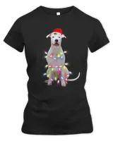 Women's Premium Slim Fit Tee Women's Premium Slim Fit Tee
