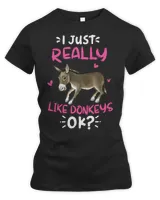 Women's Premium Slim Fit Tee