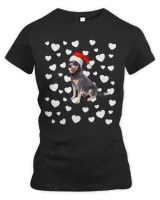 Women's Premium Slim Fit Tee Women's Premium Slim Fit Tee