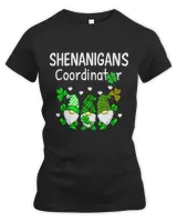 Women's Premium Slim Fit Tee Women's Premium Slim Fit Tee