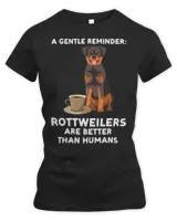 Women's Premium Slim Fit Tee Women's Premium Slim Fit Tee