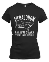Women's Premium Slim Fit Tee Women's Premium Slim Fit Tee