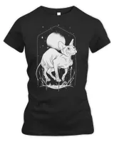 Women's Premium Slim Fit Tee