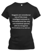Women's Premium Slim Fit Tee Women's Premium Slim Fit Tee