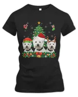 Women's Premium Slim Fit Tee Women's Premium Slim Fit Tee